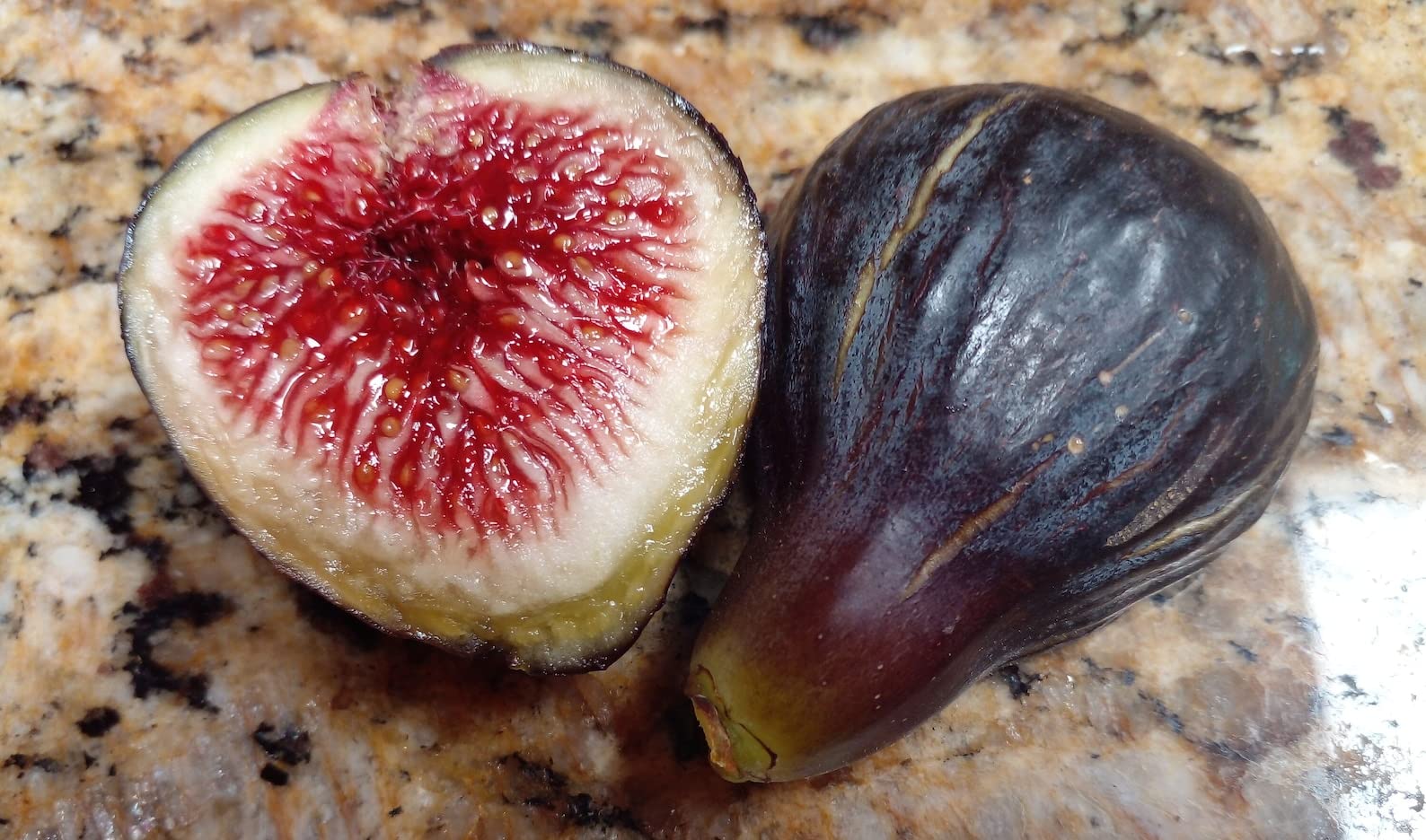 Madeira Fig Fruit Seeds for Planting | Grow Delicious Figs at Home