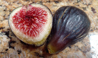 Madeira Fig Fruit Seeds for Planting | Grow Delicious Figs at Home