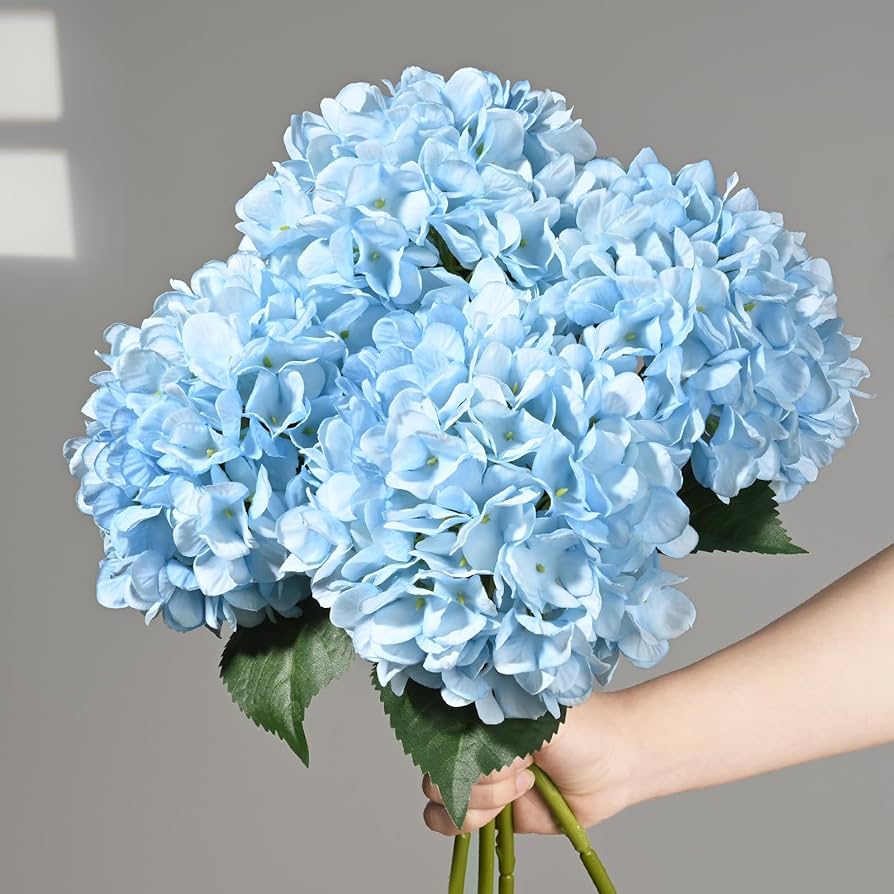 Sky Blue Hydrangea Flower seeds for Planting - Cut Flower Favorite, Heirloom & GMO Free Seeds for Home Garden
