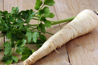 Hamburg Rooted Parsley Petroselinum crispum Seeds for Planting kitchen herb garden