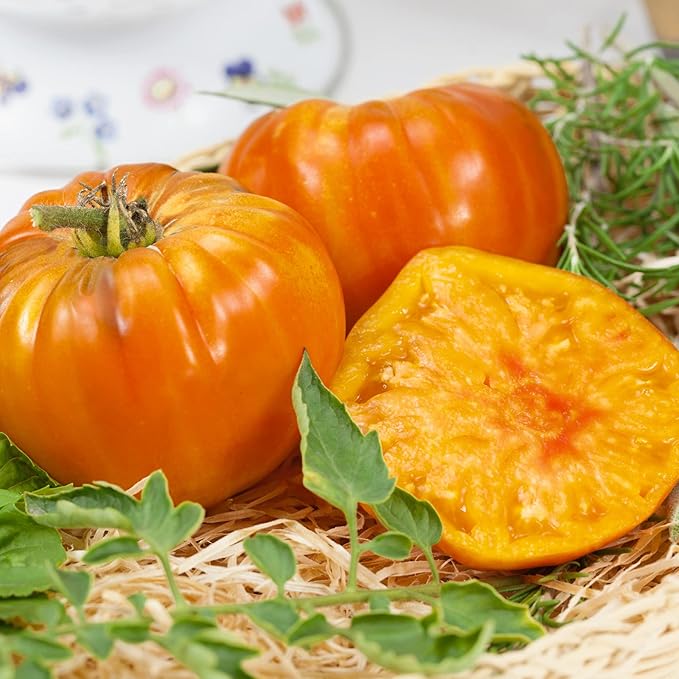 Striped Tomato Planting Vegetable Seeds
