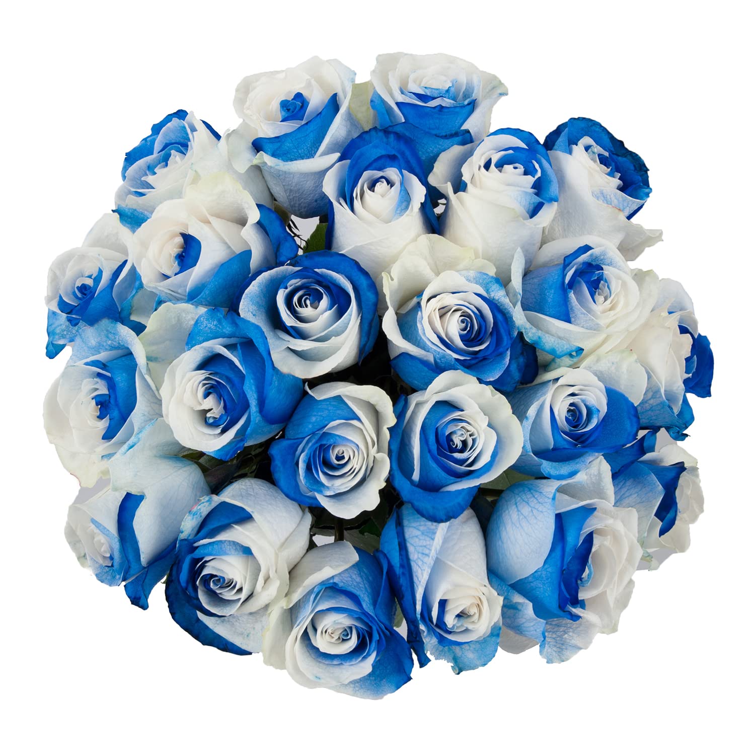 Blue White Rose Flower Seeds for Garden Wildflower Mix Heirloom & GMO Free Seeds for Home Garden
 
 Sale