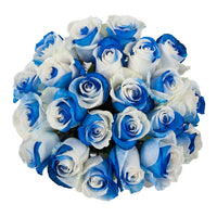 Blue White Rose Flower Seeds for Garden Wildflower Mix Heirloom & GMO Free Seeds for Home Garden
 
 Sale