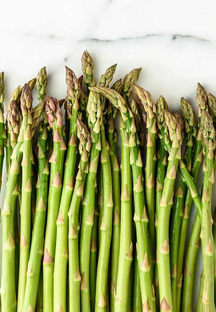 Green Asparagus Mary Washington Seeds for Perennial Planting