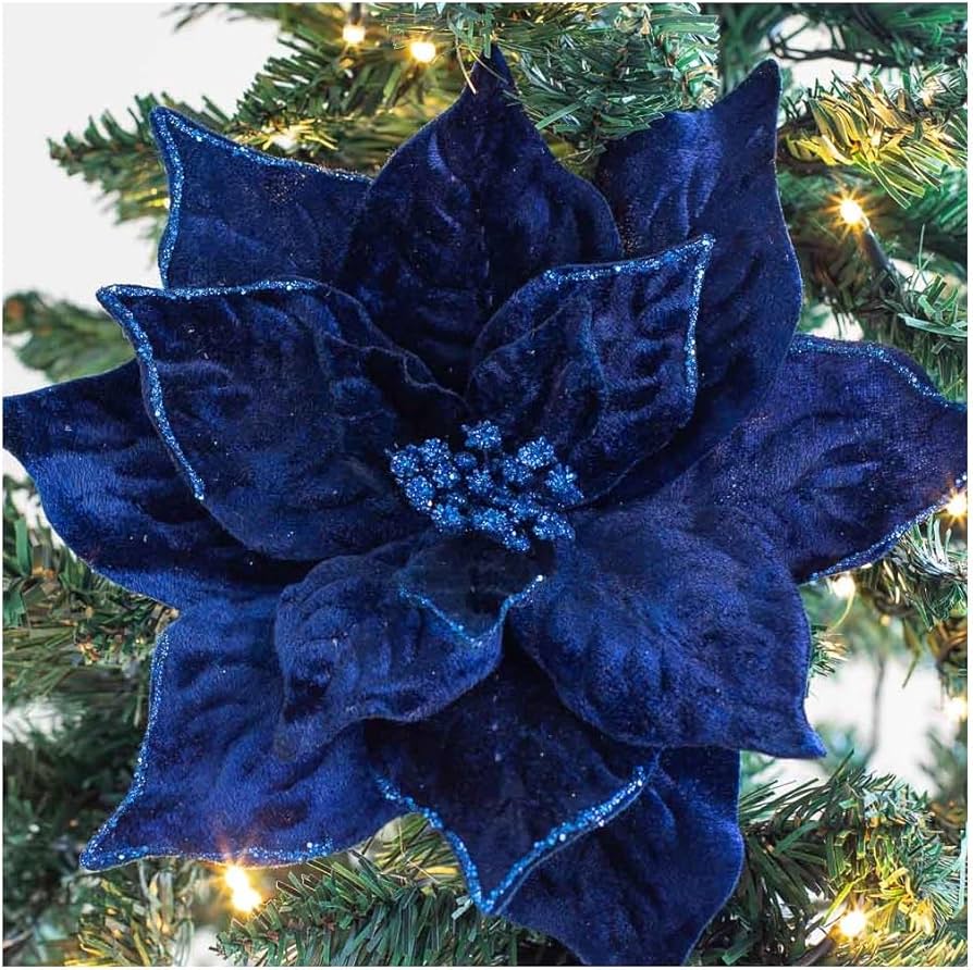 Deep Blue Poinsettia Flower seeds for Planting Long Bloom Season Heirloom & GMO Free Seeds for Home Garden