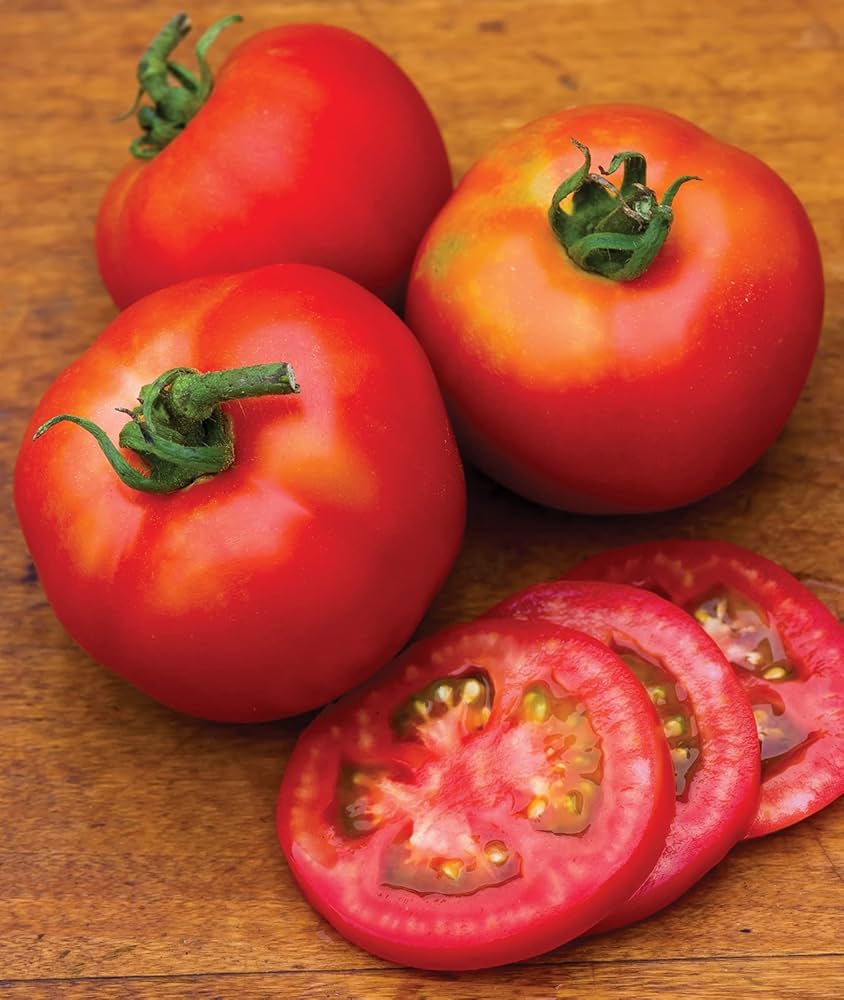 Moonglow Tomato Solanum lycopersicum Vegetable Seeds for Planting in Vegetable Patch