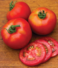 Moonglow Tomato Solanum lycopersicum Vegetable Seeds for Planting in Vegetable Patch
