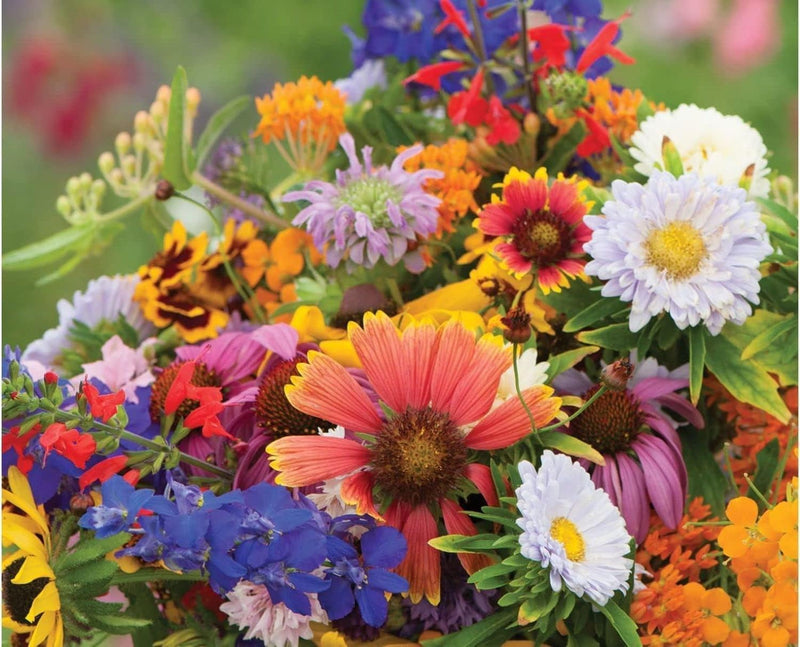 Yellow Pink Mini Violet Flower Seeds for Planting Wildflower Mix Heirloom & GMO Free Seeds for Home Garden
 
 Sale