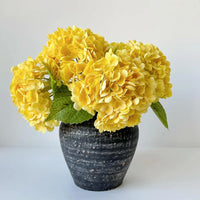 Thick Yellow Hydrangea Flower seeds for Planting Premium Quality Heirloom & GMO Free Seeds for Home Garden
 
 Sale