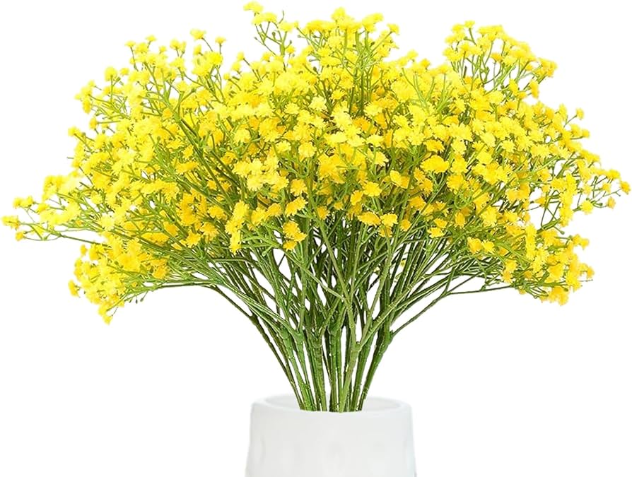 Gypsophila Yellow Flower seeds for Planting - Low Maintenance, Heirloom & GMO Free Seeds for Home Garden