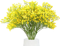 Gypsophila Yellow Flower seeds for Planting - Low Maintenance, Heirloom & GMO Free Seeds for Home Garden