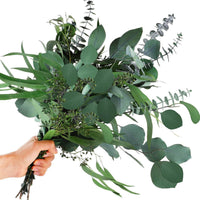 Mixed Eucalyptus Flower seeds for Planting - Vibrant Colors, Heirloom & GMO Free Seeds for Home Garden
 
 Sale seeds for planting in home garden