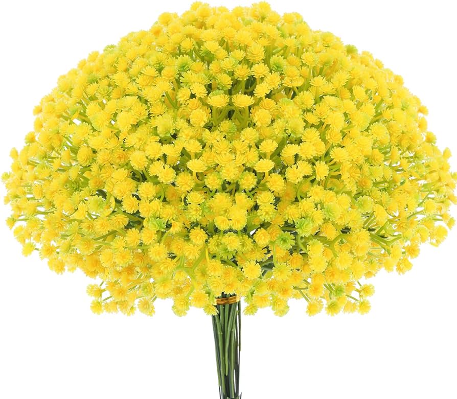 Gypsophila Yellow Flower seeds for Planting - Low Maintenance, Heirloom & GMO Free Seeds for Home Garden