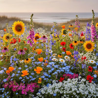 Florida & Gulf Coast Wildflower Mix Seeds for Beautiful Garden and Wildlife Habitat