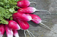 Easter Egg Radish Seeds - Colorful Planting For Vibrant Harvests Vegetable Seeds
