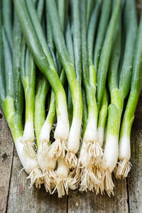Green Fistulosum Vegetable Seeds for Easy Planting