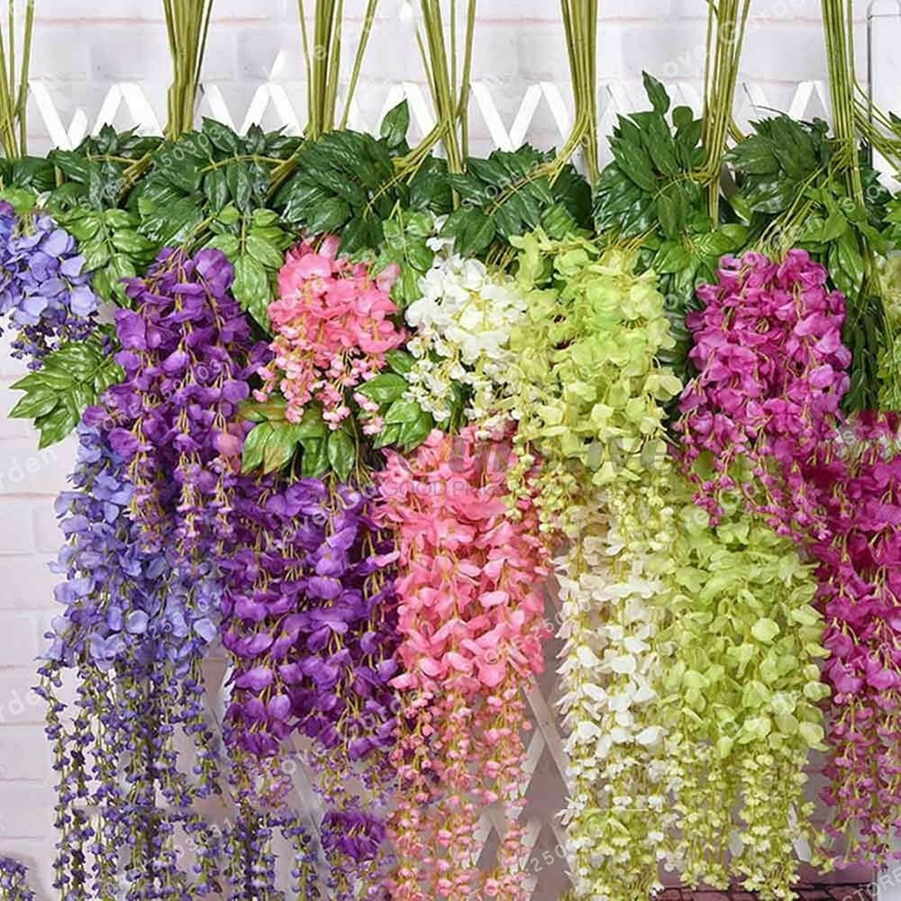 Mixed Wisteria Flower seeds for Planting Perfect for Borders Heirloom & GMO Free Seeds for Home Garden