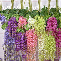 Mixed Wisteria Flower seeds for Planting Perfect for Borders Heirloom & GMO Free Seeds for Home Garden