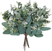 Mixed Eucalyptus Flower seeds for Planting - Vibrant Colors, Heirloom & GMO Free Seeds for Home Garden