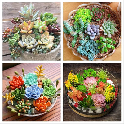 100 Pcs