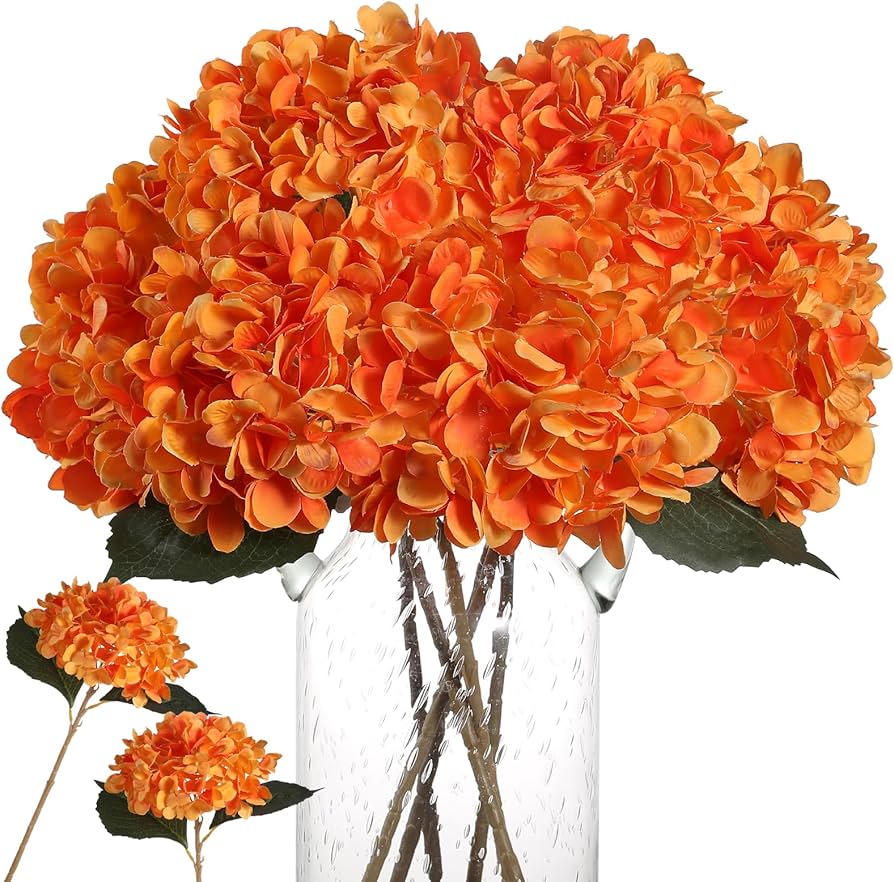 Light Orange Hydrangea Flower seeds for Planting - Premium Quality, Heirloom & GMO Free Seeds for Home Garden