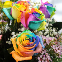 Red Rainbow Potted Rose Flower Seeds for Planting NonGMO Heirloom Easy to Grow Garden Blooms 
 
 Sale