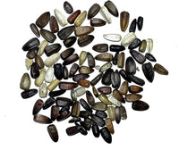 Sunflower Velvet Queen Seeds for Beautiful Golden Sunflowers