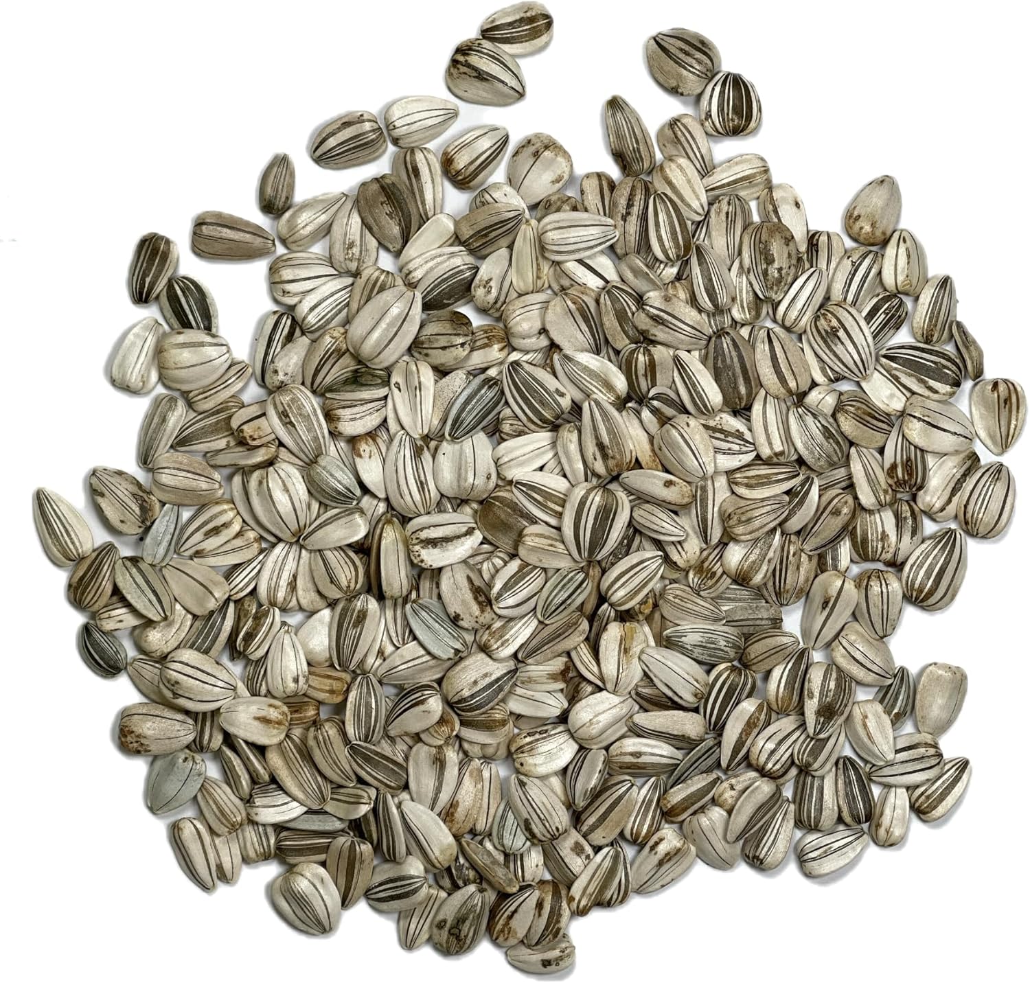 Sunflower Helianthus Annuus Seeds for Tall, Bright Blooms