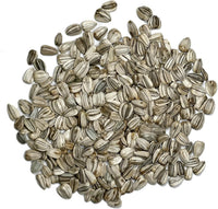 Sunflower Helianthus Annuus Seeds for Tall, Bright Blooms