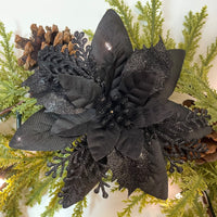 Black Poinsettia for Planting Hardy Variety Heirloom & GMO Free Seeds for Home Garden
 
 Sale