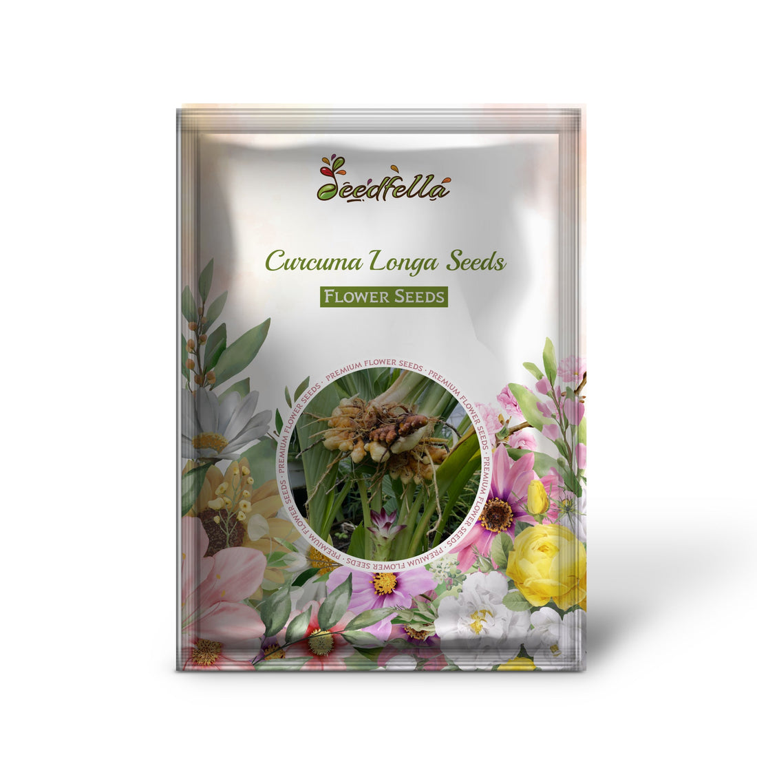 Curcuma Longa Seeds for Planting - Mixed Varieties