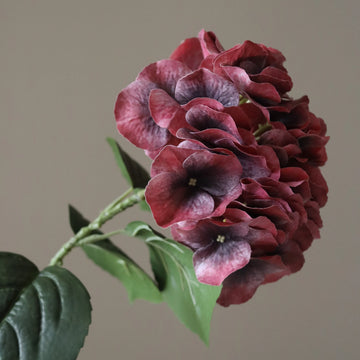 Burgundy Hydrangea Flower seeds for Planting Fragrant Blossoms Heirloom & GMO Free Seeds for Home Garden 
 
 Sale