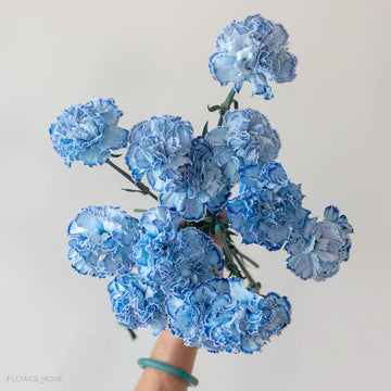 White (White Blue) seeds for planting in home garden