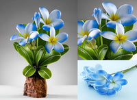 Sky Blue Frangipani flowers in bloom
