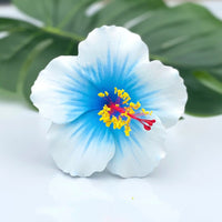 Light Blue Hibiscus Flower Seeds – Low Maintenance Heirloom & NonGMO Seeds for Planting Home Garden
 
 Sale