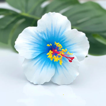 Light Blue Hibiscus Flower Seeds – Low Maintenance Heirloom & NonGMO Seeds for Planting Home Garden
 
 Sale