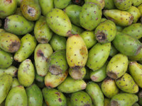 Green Lasiacantha Fruit Seeds for Planting