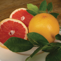 Red Grapefruit Seeds for Planting - Grow Delicious Citrus Fruits at Home