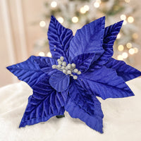 Deep Blue Poinsettia Flower seeds for Planting Long Bloom Season Heirloom & GMO Free Seeds for Home Garden