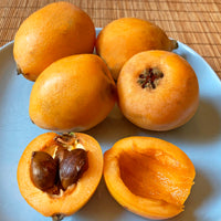 Loquat Fruit Seeds: Complete Planting Guide