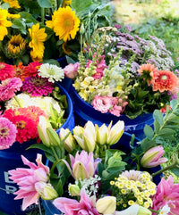 Bulk Beautiful Blooms Flower Seeds for Planting