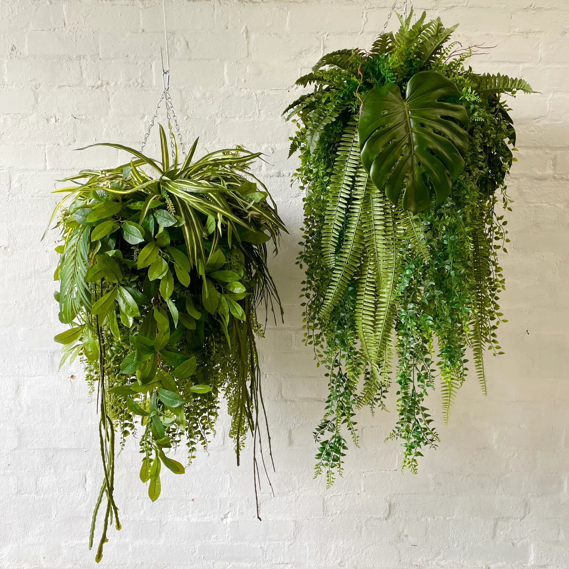 Green Chandelier for Planting Perfect for Borders Heirloom & GMO Free Seeds for Home Garden
 
 Sale