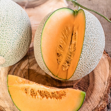Cantaloupe Seeds for Planting: Cream Variety
