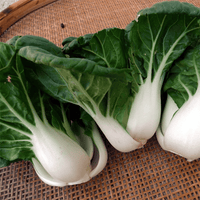 Blizzard Green White Choi Vegetable Seeds for Planting