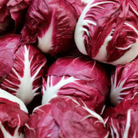 Burgundy Radicchio Planting Seeds - Grow Your Own