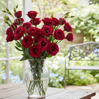 Deep Red Eustoma (Lisianthus) Flower seeds for Planting Perfect for Borders Heirloom & GMO Free Seeds for Home Garden