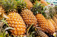 Pineapple Seeds for Planting  Grow Your Own Pineapple Fruits