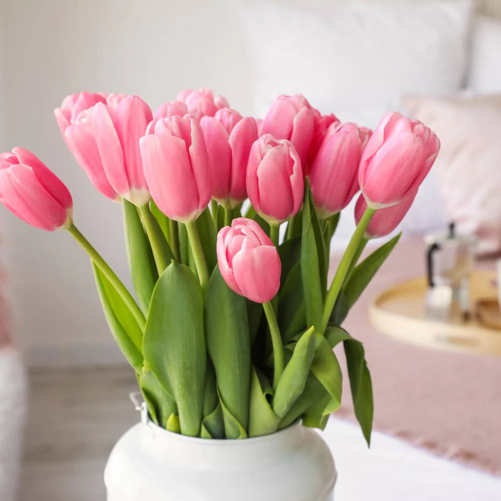 Light Pink Tulip Flower seeds for Planting Sun Loving Heirloom & GMO Free Seeds for Home Garden