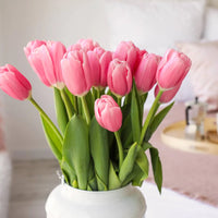 Light Pink Tulip Flower seeds for Planting Sun Loving Heirloom & GMO Free Seeds for Home Garden