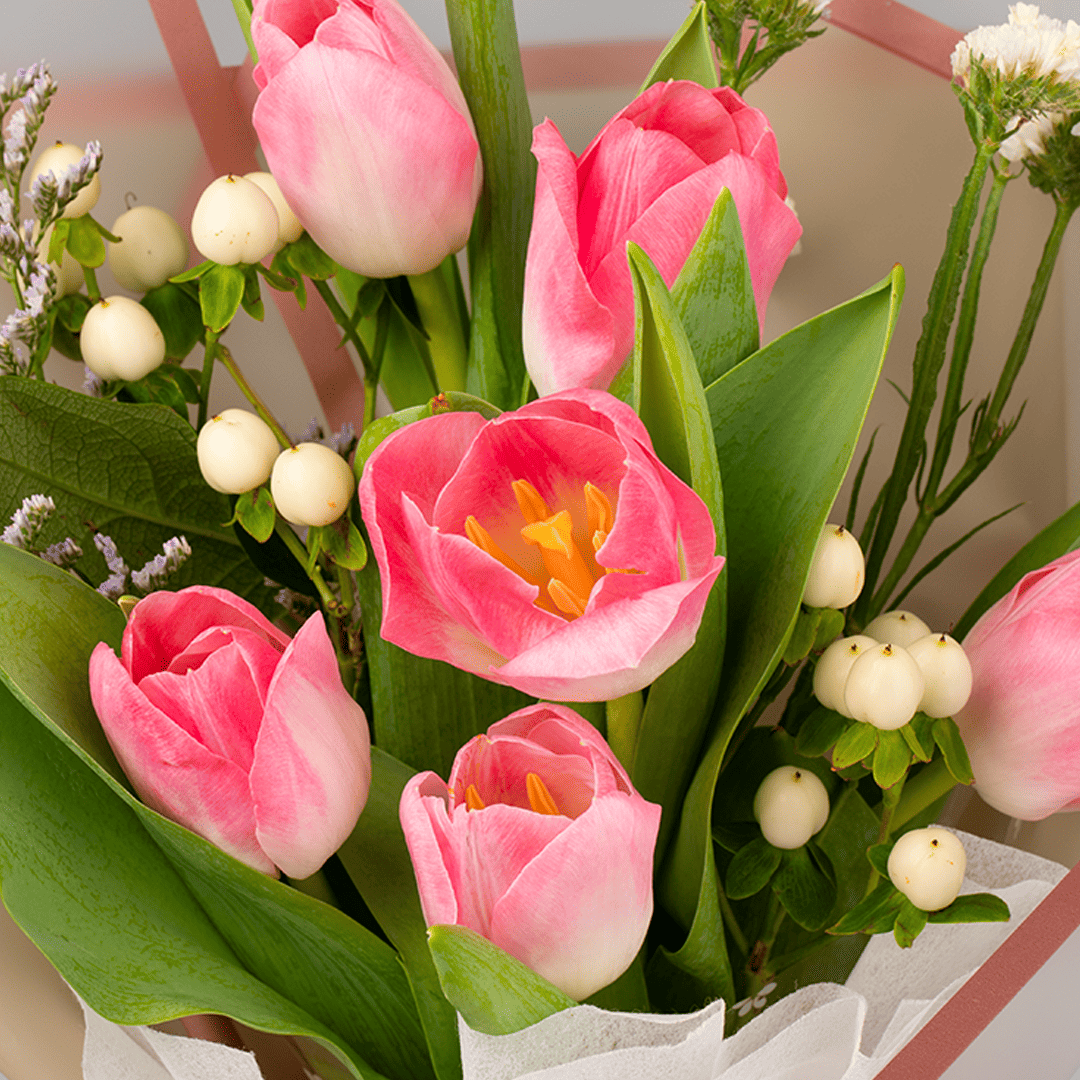 Pink Tulip Flower Seeds Perfect for Borders Heirloom & GMO Free Seeds for Home Garden
 
 Sale